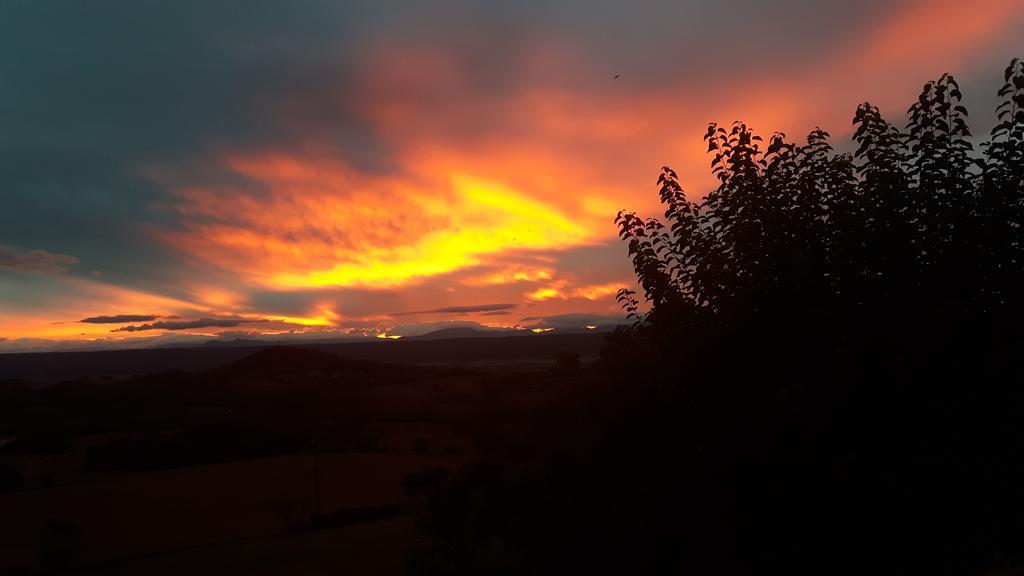 La Magnanerie Villa Niozelles Exteriör bild